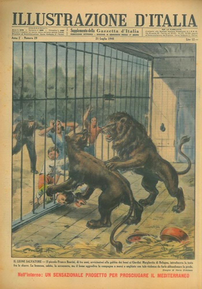 illustrazione leone giardini margherita